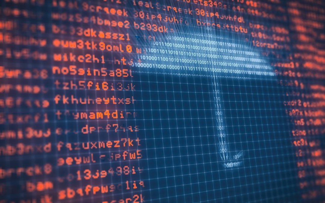 Los principios fundamentales en el tratamiento y protección de datos